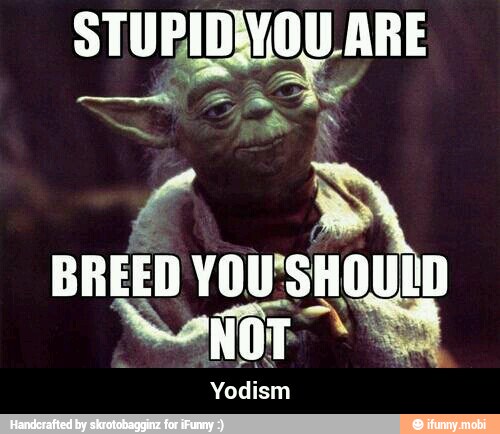 0
BREED YOU'SHOULD
SA
Yodism - Yodism