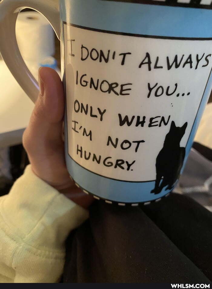 DONIT AL WAYs
NORE You...
WHEN