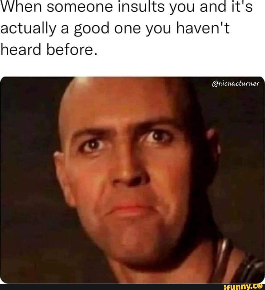 When someone Insults you and It's actually a good one you haven't heard ...