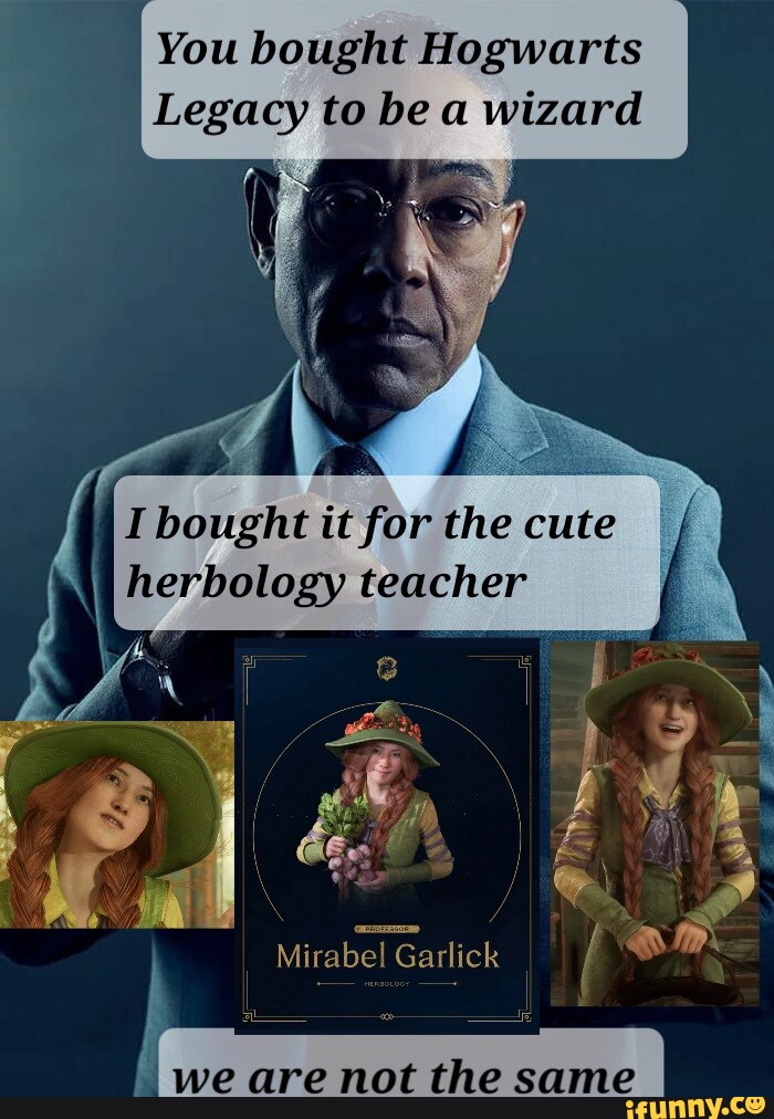 You bought Hogwarts Legacy to be a wizard I bought it for the cute