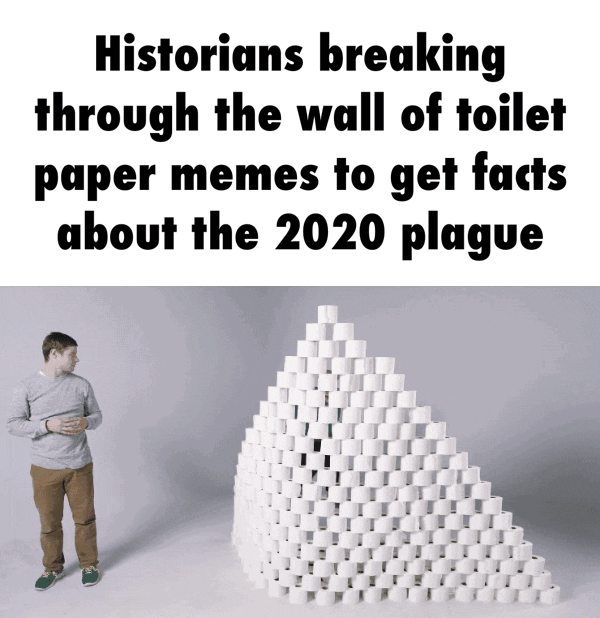 Historians breaking through the wall of toilet paper memes to get facts