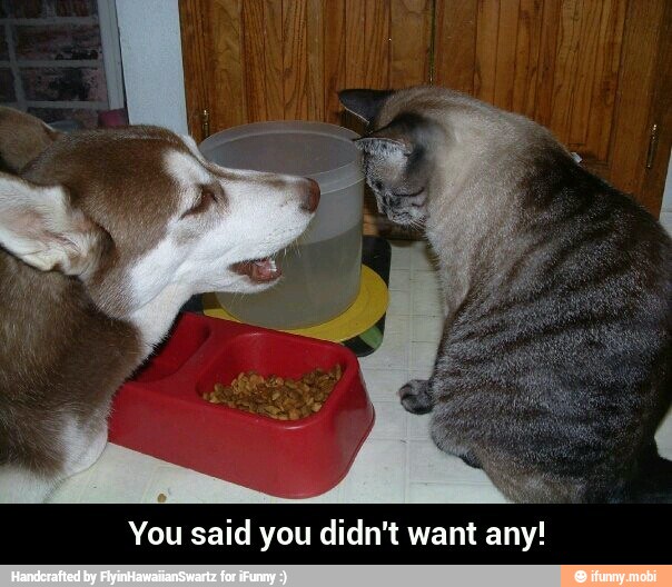 You said you didn't want any! - You said you didn't want any!