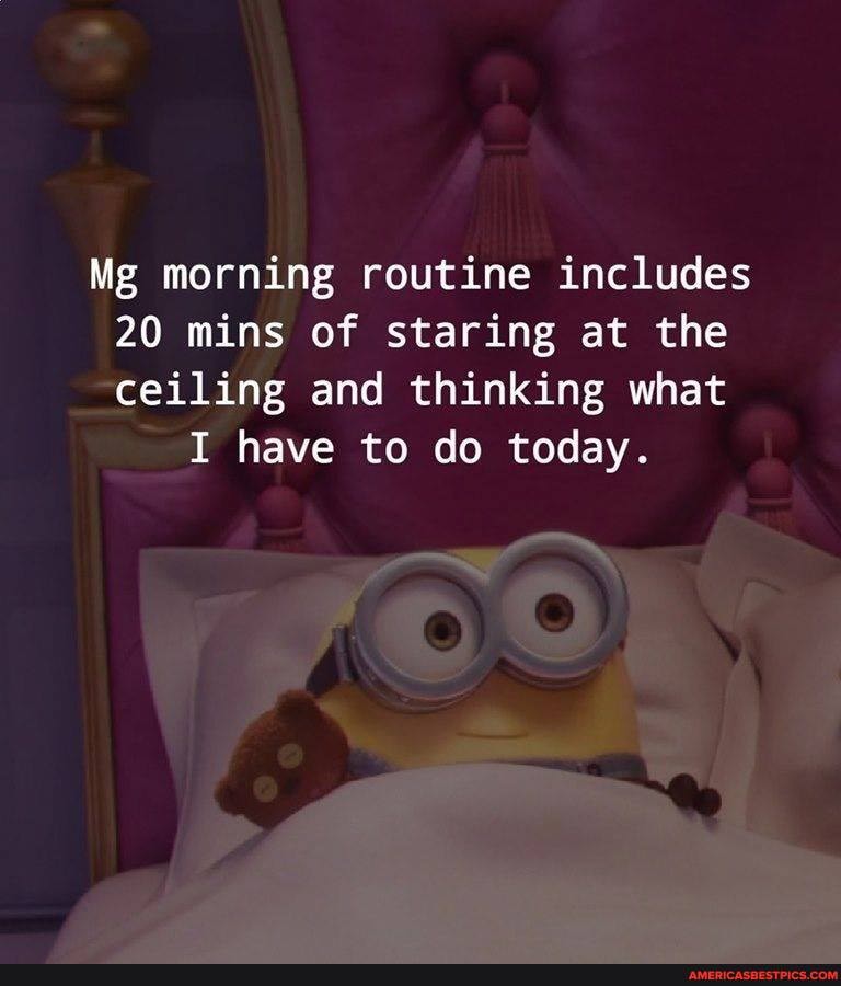 Mg morning routine includes
20 mins of staring at the ceiling and thinking what
I have to do today.