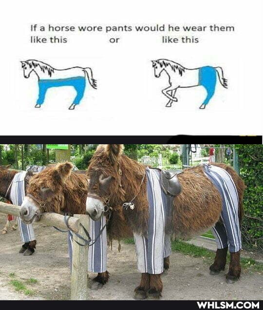 If a horse wore pants would he wear them like this or like this