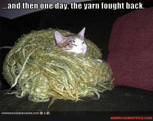 and then one day, the yarn fought back.
