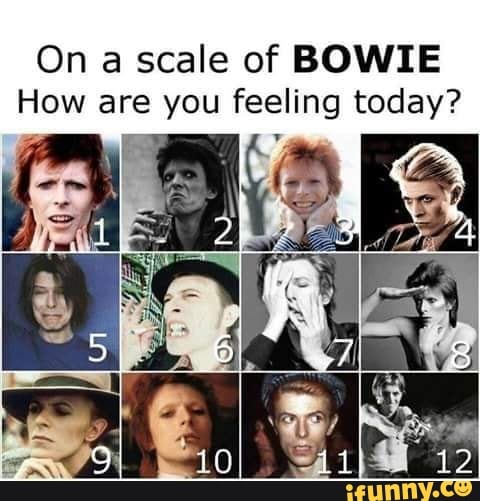 On A Scale Of Bowie How Are You Feeling Today