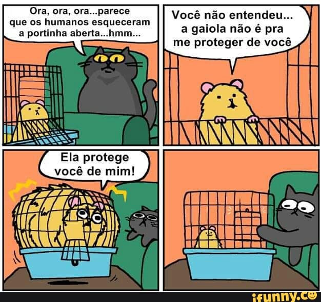 Ora, ora, ora...parece que os humanos esqueceram a portinha aberta...hmm...
Ela protege você de mim!
Você não entendeu...
a gaiola não é pra me proteger de você