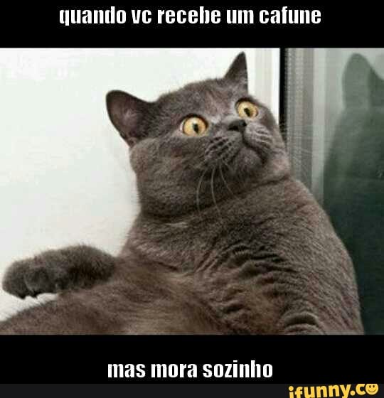 quando vc recebe um cafune
mas mora sozinho