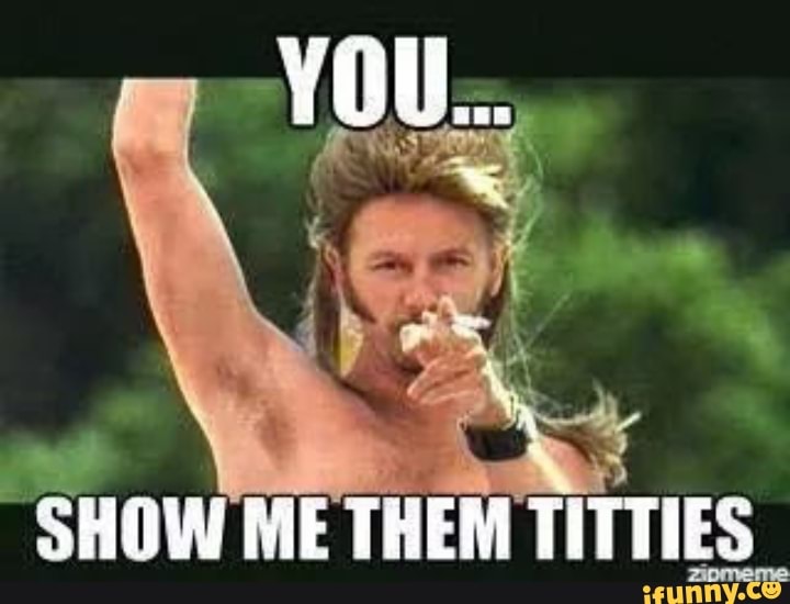 You. ff SHOW ME THEM TITTIES - iFunny