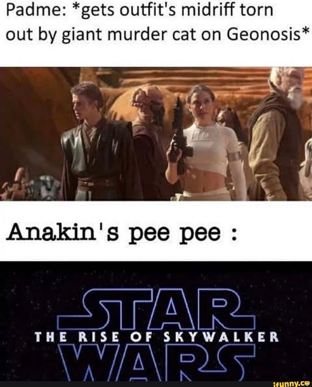 Padme: *gets outfit's midriff torn out by giant murder cat on Geonosis*
Anakin's pee pee :
ES
THE RISE OF SKYWALKER