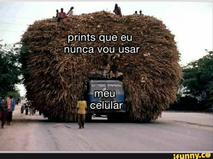 - prints que eu nunca vou usar
meu celular