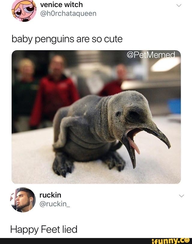 baby penguins are so cute
Happy Feet lied