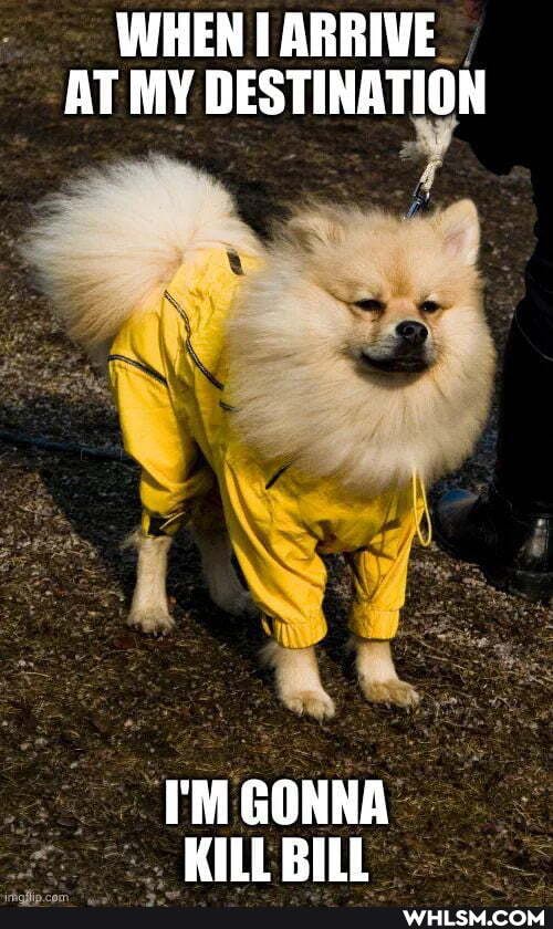 WHEN ARRIVE AT MY DESTINATION
I'M GONNA KILL BILL