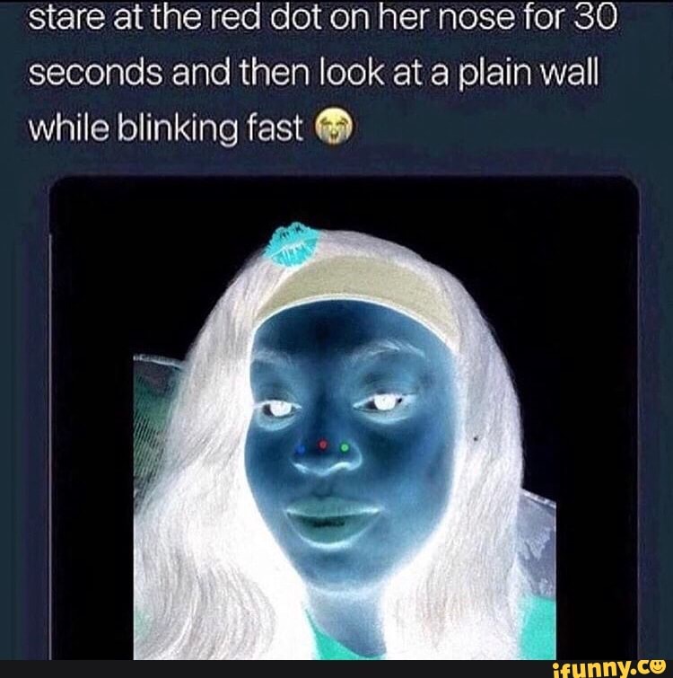 Stare At The Red Dot On Her Nose For 30 Seconds And Then Look At A Plain Wall While Blinking Fast O Ifunny