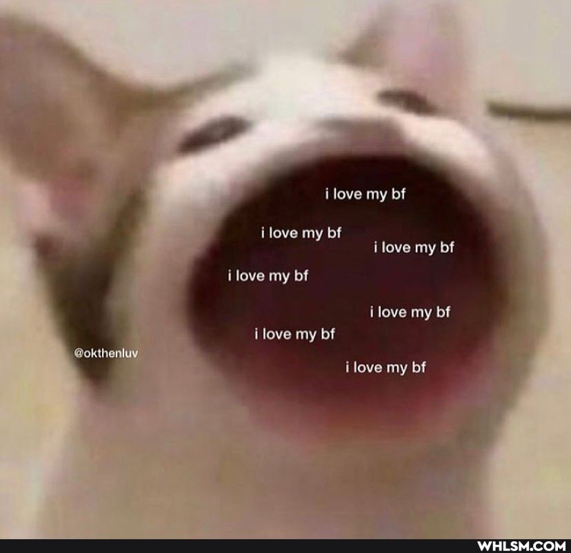 ilove my
love my llove my bf love my bf love my bf love my bf
@okthonluy love my bf
