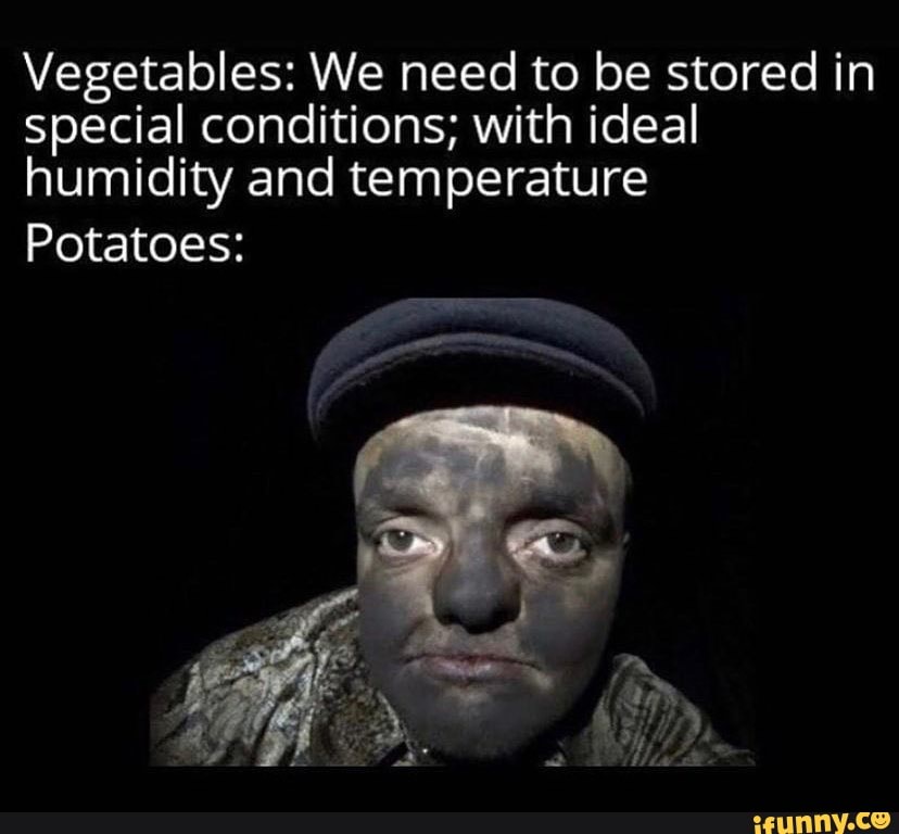 Vegetables We need to be stored in special conditions; with ideal