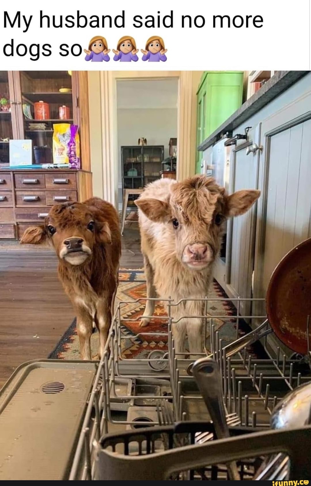 My husband said no more
dogs so DD