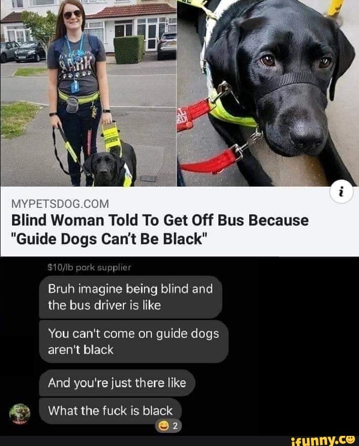 MYPET 0 )M
Blind Woman Told To Get Off Bus Because
"Guide Dogs Can't Be Black"
$10/lb pork
supplier
Bruh imagine being blind and
the bus driver is like
You can't come on guide dogs
aren't black
And you're just there like