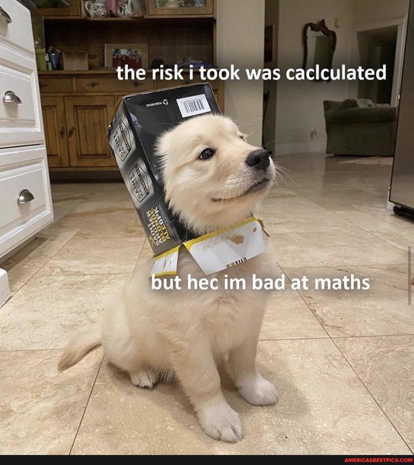 the risk i took was caclculated
but hec im bad at maths