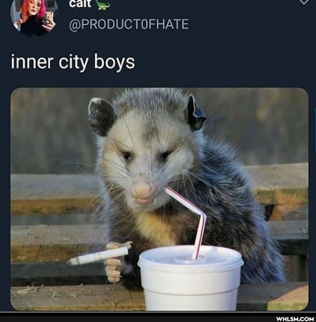 Call
@PRODUCTOFHATE
inner city boys