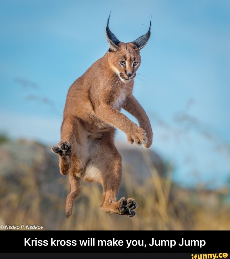 Kriss kross will make you, Jump Jump - Kriss kross will make you, Jump Jump