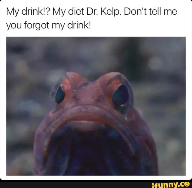 Drkelp memes. Best Collection of funny Drkelp pictures on iFunny Brazil