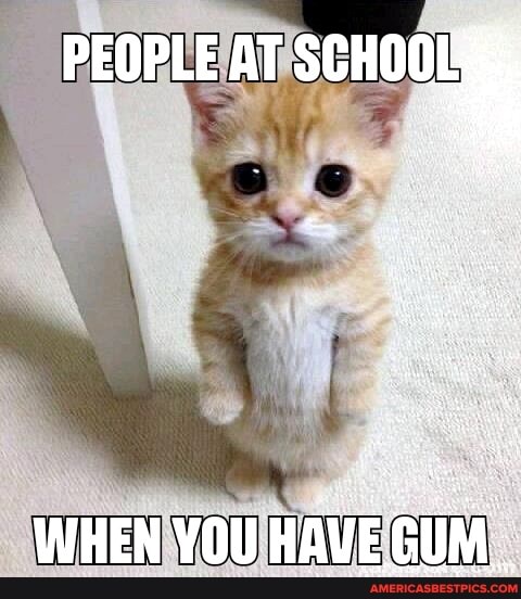 PEOPLE AT SCHOOL
WHEN YOU HAVE GUM.