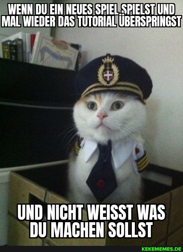 WEHN DU EIN NEUES SPIEL SPIELST UND MAL WIEDER DAS TUTORIAL ÜBERSPRINGST
UND NICHT WEISST WAS DU MACHEN SOLLST