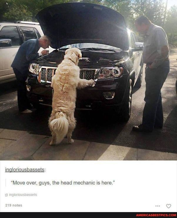 Move over, guys, the head mechanic is here.