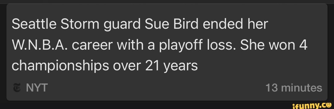 Seattle Storm Guard Sue Bird Ended Her W.N.B.A. Career With A Playoff ...