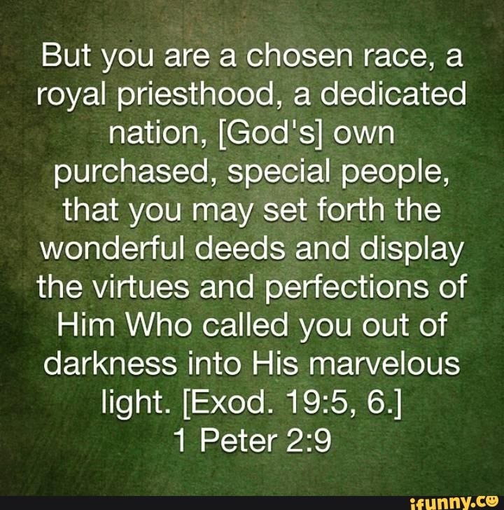 but-you-are-a-chosen-race-a-royal-priesthood-a-dedicated-nation-god