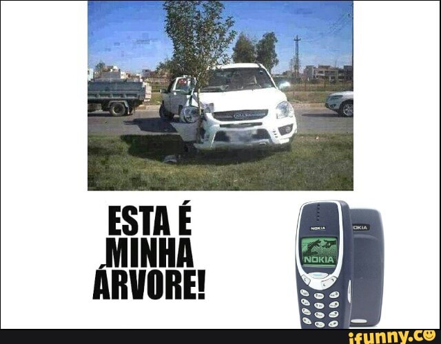 ESTA É
MINHA
ARVORE!