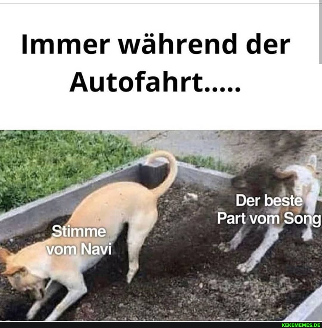 Immer während der
Autofahrt.....
Der beste
Part vom Song
Stimme
vom Navi