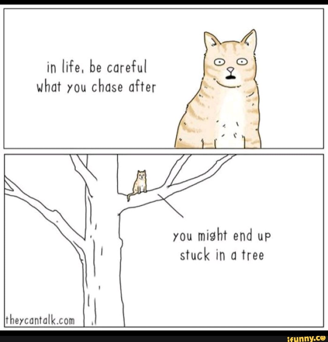 in life, be careful
what you
chase after
you
might end up
stuck in a tree
theycantalk.com