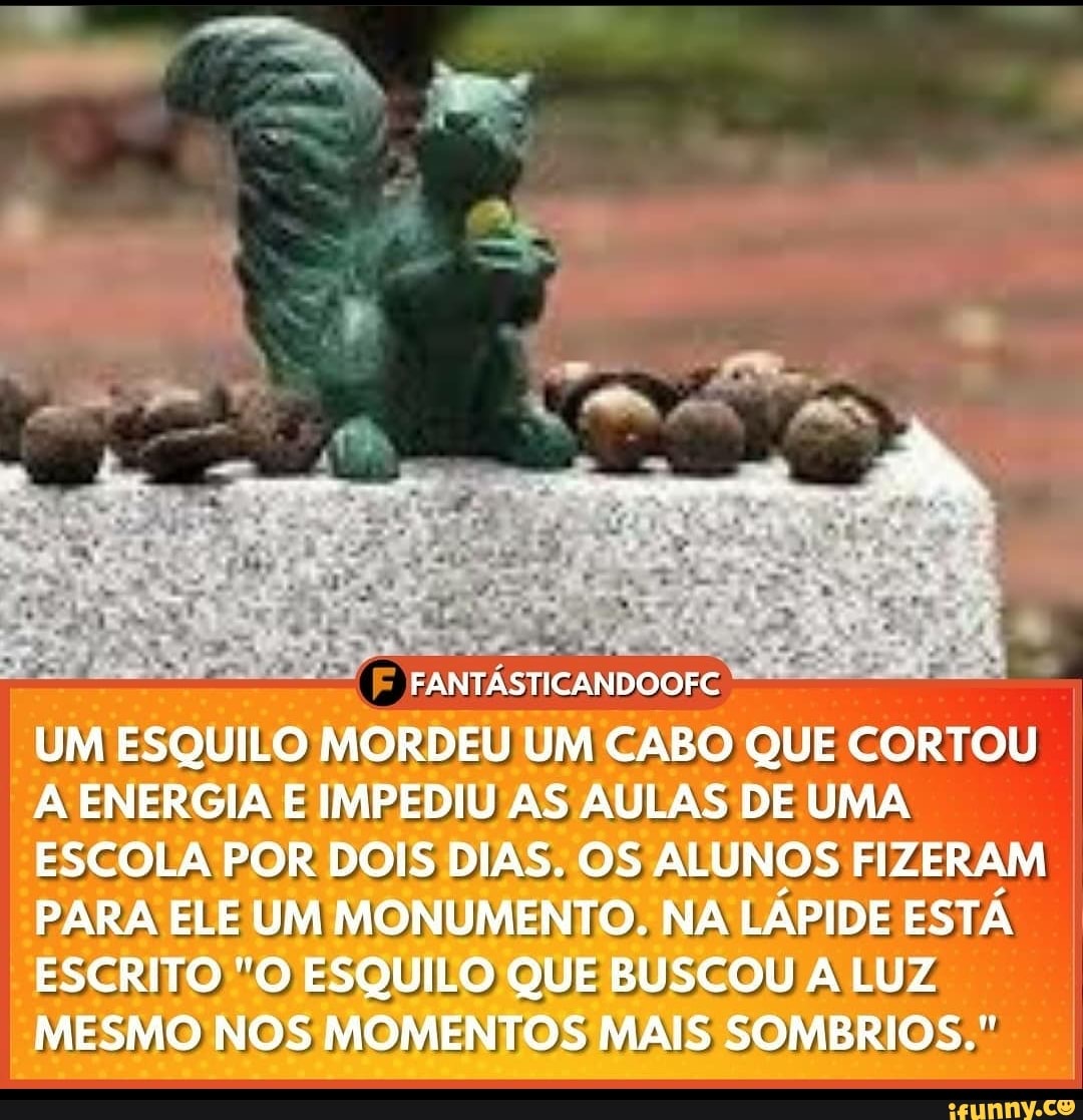 W.. d
FAN FC UM ESQUILO MORDEU UM CABO QUE CORTOU ENERGIA E IMPEDIU AS AULAS DE UMA ESCOLA POR DOIS DIAS. OS ALUNOS FIZERAM PARA ELE UM MONUMENTO, NA LÁPIDE ESTÁ ESCRITO "O ESQUILO QUE BUSCOU A LUZ MESMO NOS MOMENTOS MAIS SOMBRIOS."