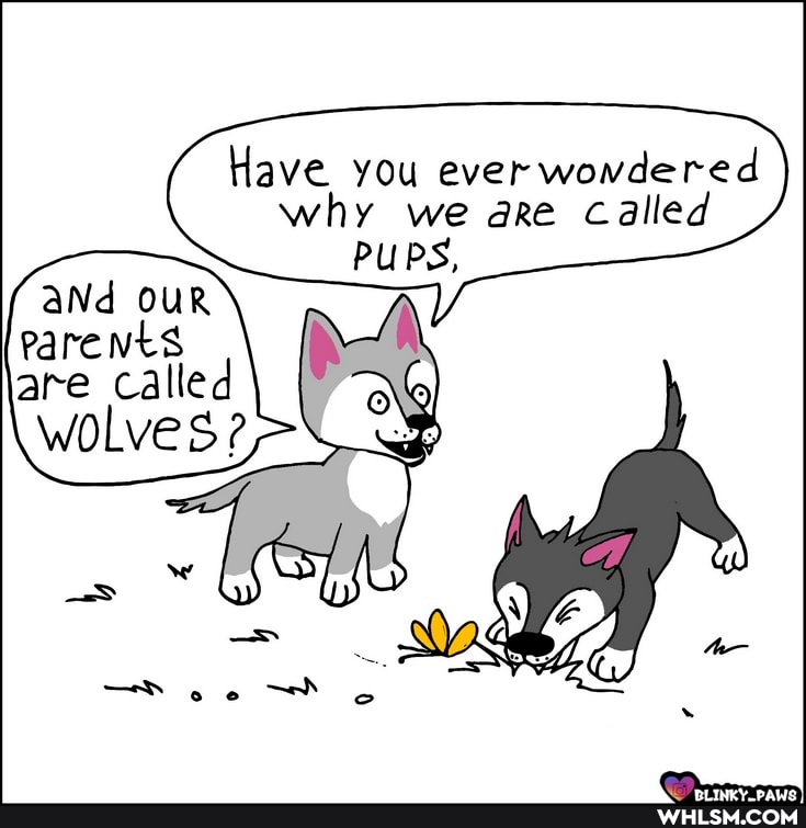 Have you ever wowdered why we are Called