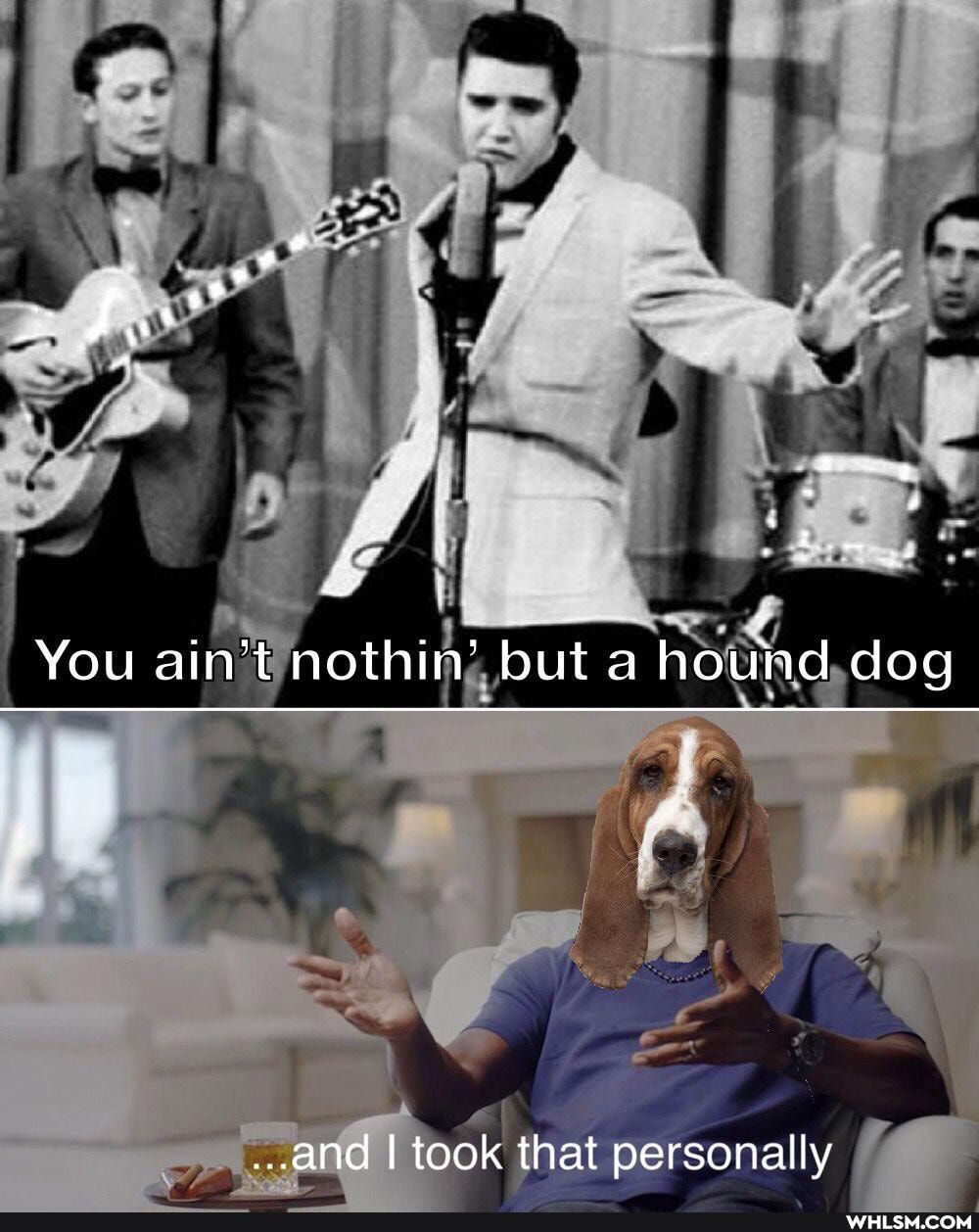 You ain't nothin' but a hound dog
...and I took that personally