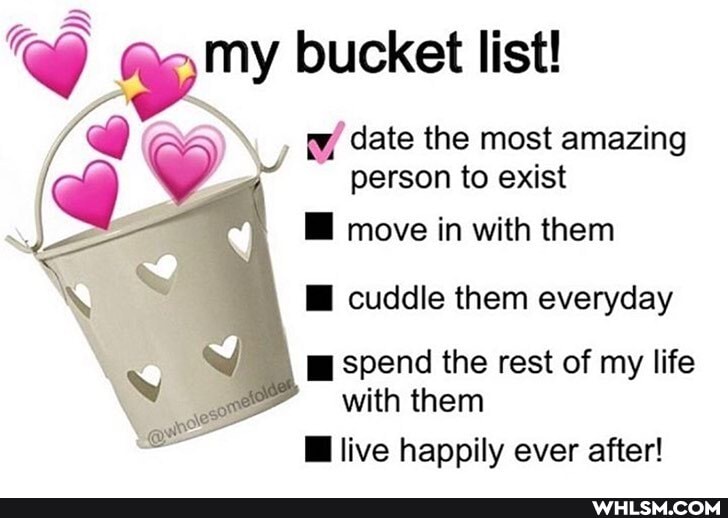 my bucket list!
person to exist move in with them
\ date the most amazing
cuddle them everyday
spend the rest of my life with them
Bi live happily ever after!