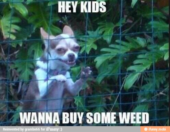 HEY KIDS y
WANNA
BUY SOME WEED
