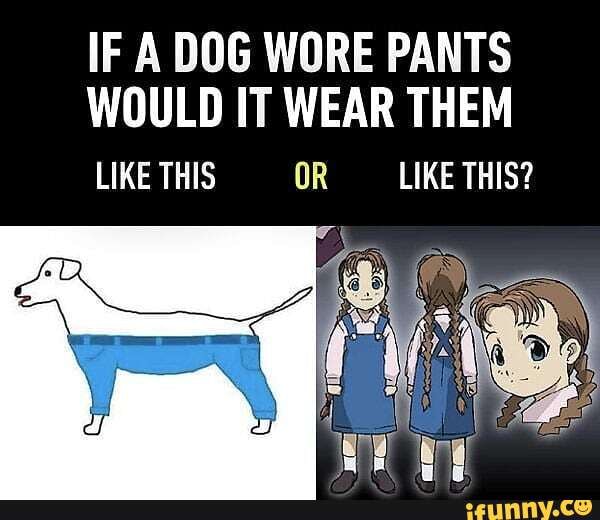 IF A DOG WORE PANTS WOULD IT WEAR THEM
LIKE THIS OR -_LIKE THIS?