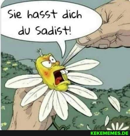 Sie hasSt dich du Sadist!