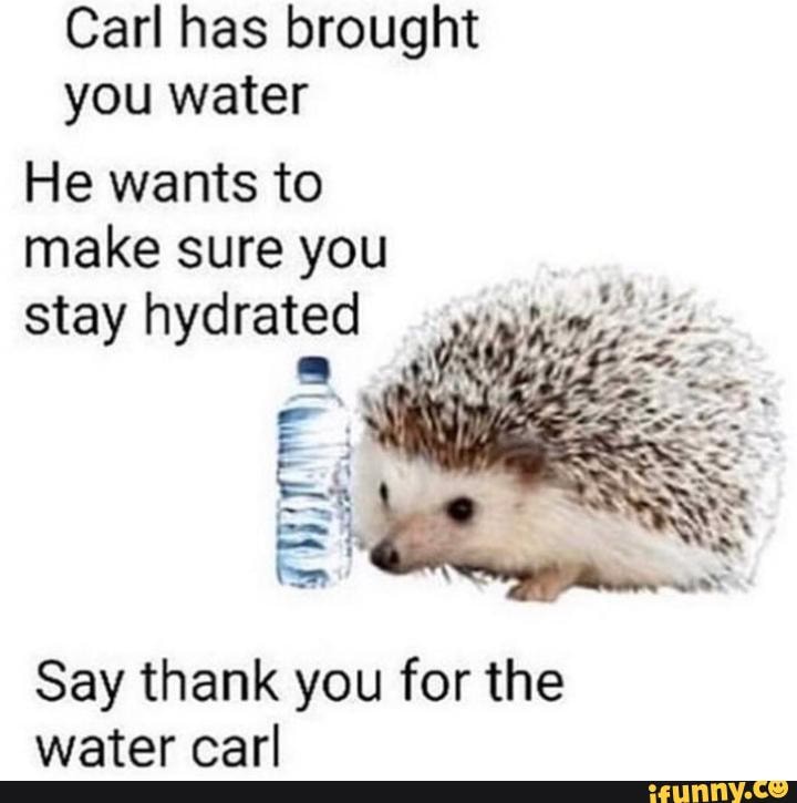 Carl has brought you water
He wants to
make sure you
stay hydrated
Say thank you for the
water carl