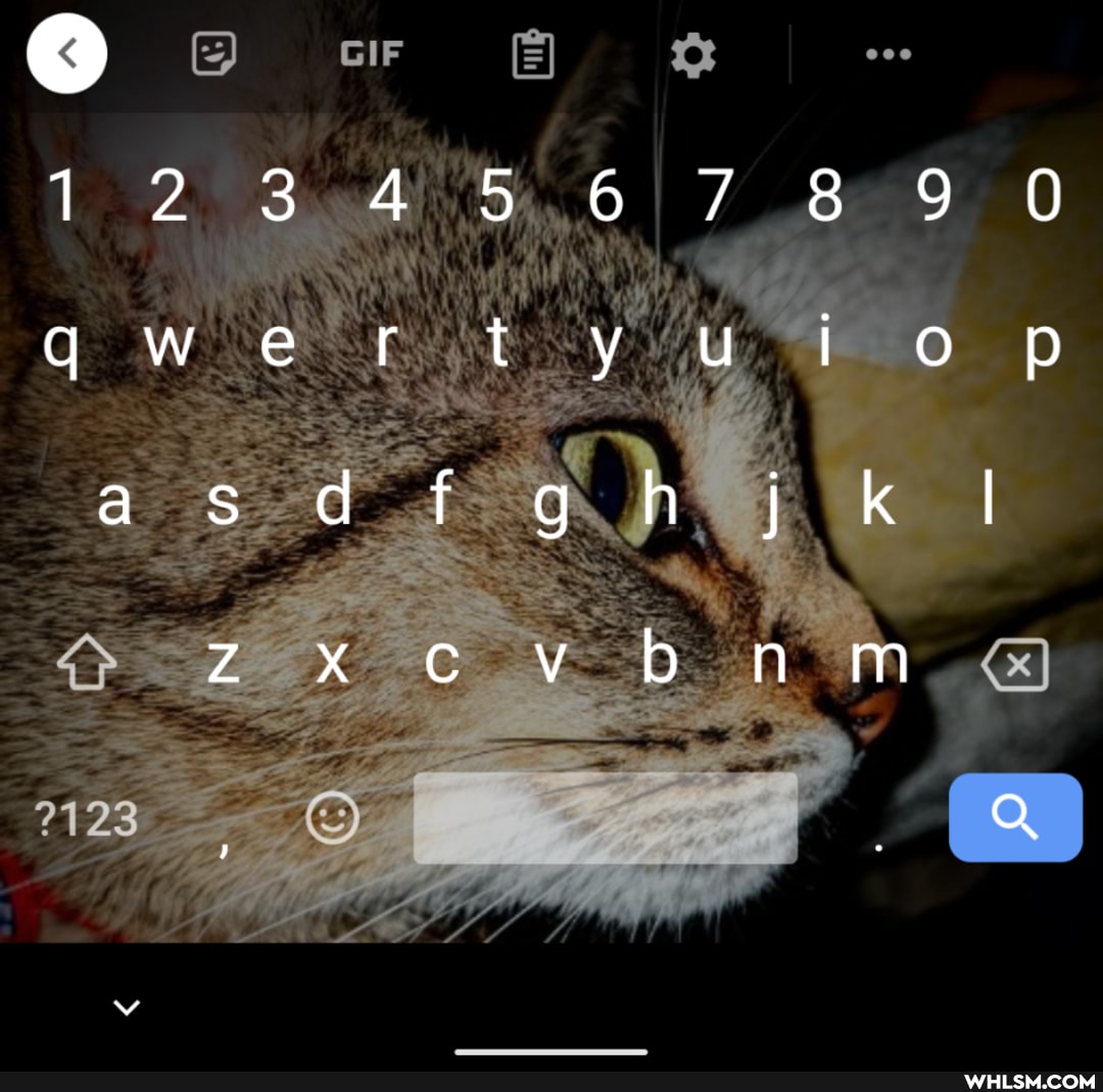 GIF
67 8 9 O rot