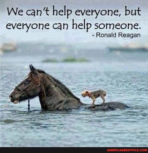 We can't help everyone, but everyone can help someone.
- Ronald Reagan