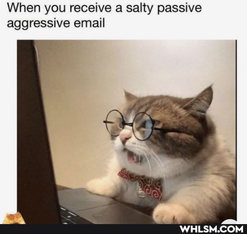 When you receive a salty passive aggressive email
