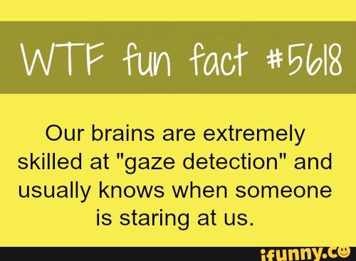 Our brains are extremely
skilled at "gaze detection" and
usually knows when someone
is staring at us.
