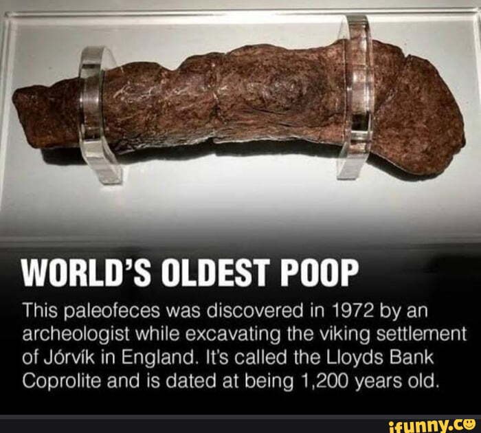 Paleofeces Memes Best Collection Of Funny Paleofeces Pictures On IFunny