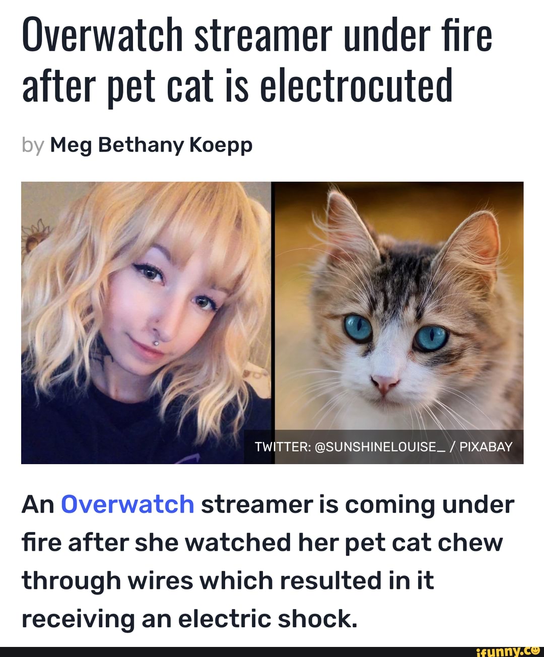 Alinity Rn Overwatch Streamer Under Fire After Pet Cat Is Electrocuted By Meg Bethany Koepp Twitter Sunshinelouise Pixabay An Overwatch Streamer Is Coming Under Fire After She Watched Her Pet