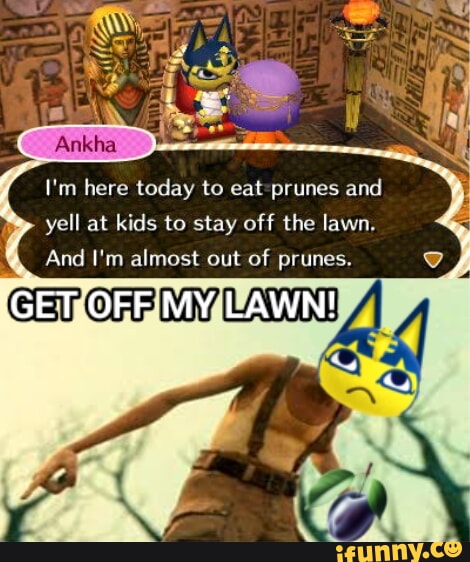 Ankha Memes Best Collection Of Funny Ankha Pictures On IFunny