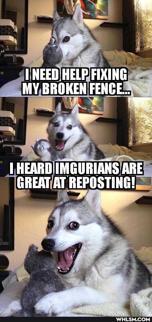 NEED HELP FIXING MY BROKEN FENCE.
HEARD IMGURIANS ARE GREAT AT REPOSTING!